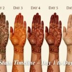 Mehndi Stain Timeline – Day 1 to Day 7