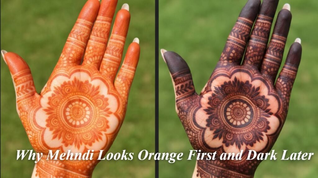 Current image: Why Mehndi Looks Orange First and Dark Later