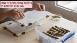 How to Store Cone Sheets to Prevent Curling – Complete Guide