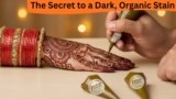 Mehndi Cone Ingredients Explained: The Secret to a Dark, Organic Stain