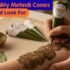 How to Store Mehndi Cones for Maximum Freshness